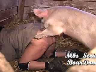 Farmer wife sex video