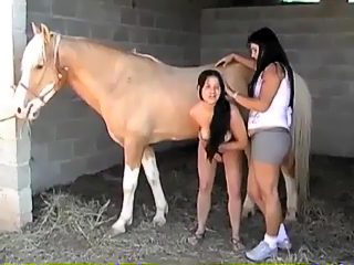 Brazilian horse porn. Lesbians and horse