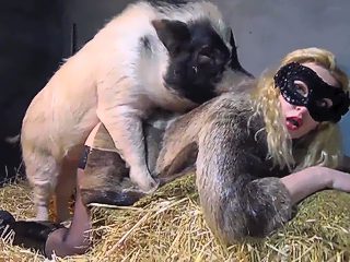 Zoo pig porn