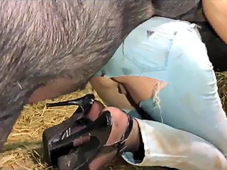 Pig and girl porn