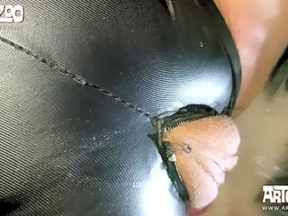 Dog farm sex