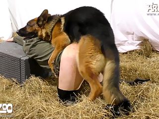 Dog having sex with woman at farm