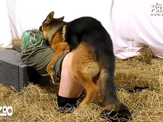 Dog having sex with woman at farm