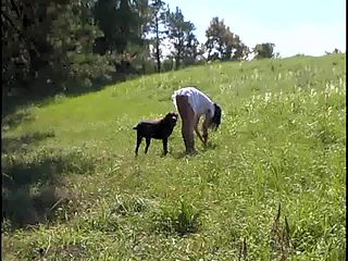 Country girl have sex with a yard dog after a walk