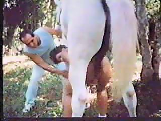 retro animal sex with horse